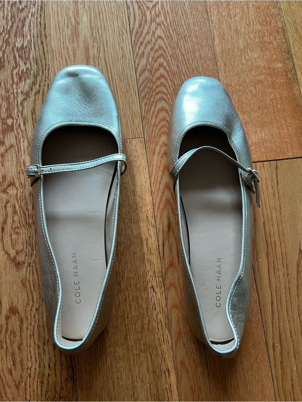 Cole Haan Silver Mary Jane Ballet Flats